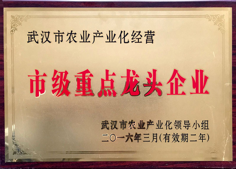 武漢市富楊棉制品有限責任公司